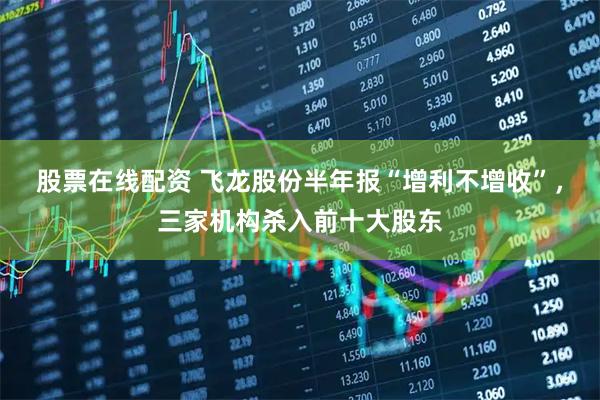 股票在线配资 飞龙股份半年报“增利不增收”，三家机构杀入前十大股东