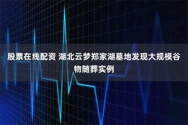 股票在线配资 湖北云梦郑家湖墓地发现大规模谷物随葬实例